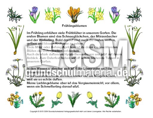 Abschreibtext-Frühlingsblumen.pdf
